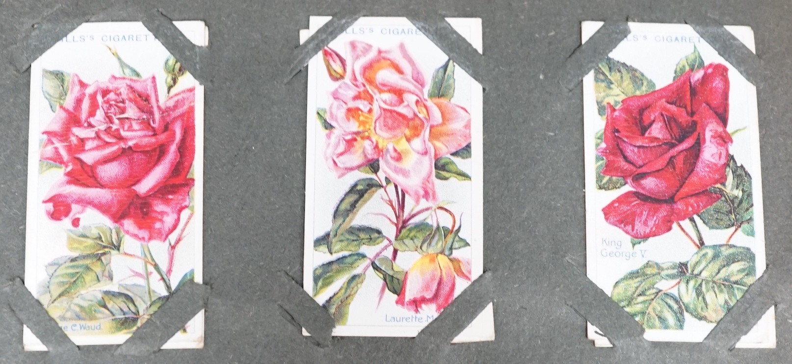 A collection of cigarette cards